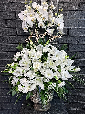 4 Dal Beyaz Orkide Arajman